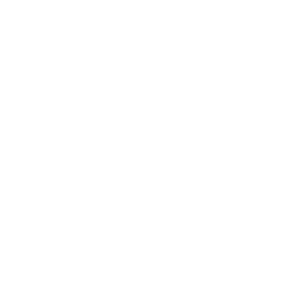 Smartphone AR(iOS / Android)