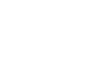 HoloModels