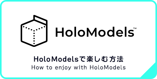 How to enjoy with HoloModels